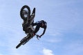 ROB_2503 (Copy)